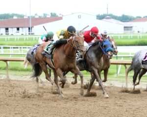 Admirable Stakes Winner Run Away Rojo Retired