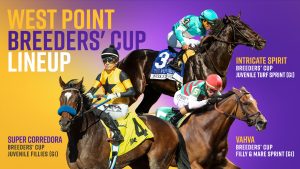Breeders’ Cup Handicapping Contest – Open to All!