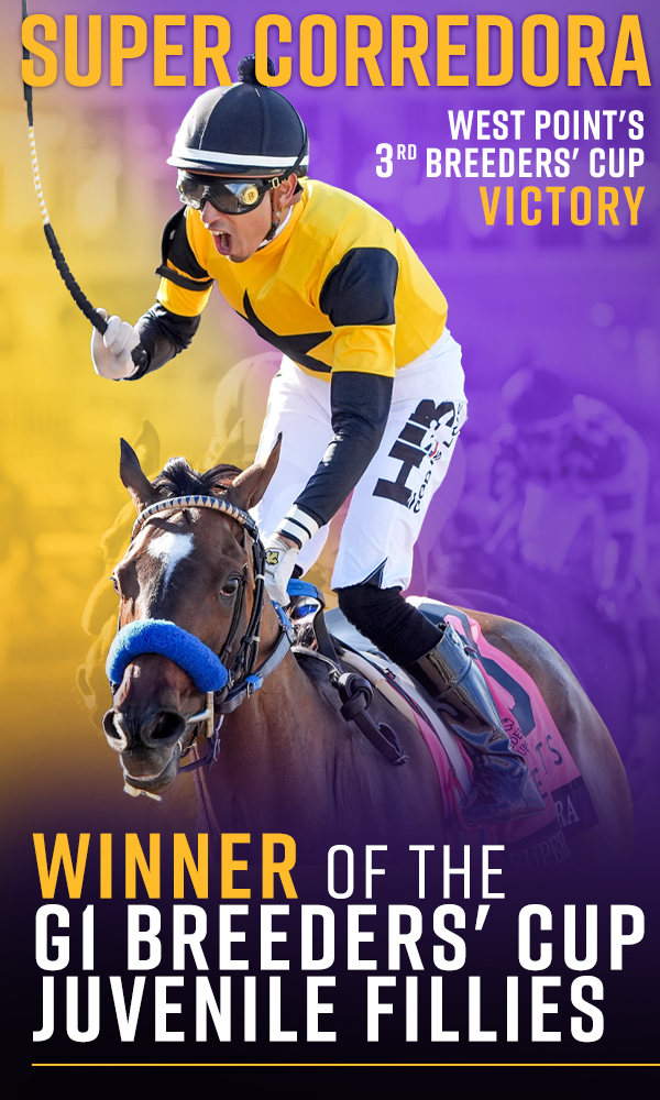 Welcome to West Point Thoroughbreds