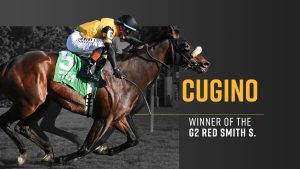 Cugino, Legalize in Stakes Action Saturday
