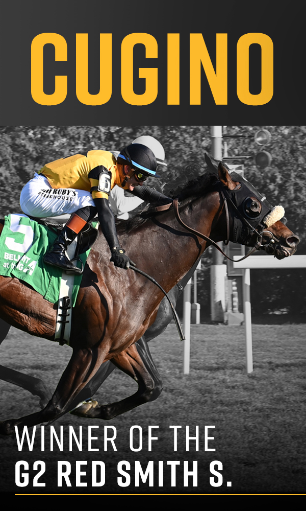 Welcome to West Point Thoroughbreds