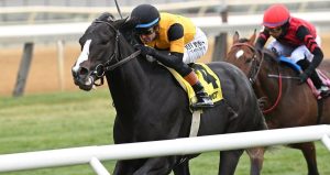 Ohana Honor Reels in First Stakes Win in Knickerbocker