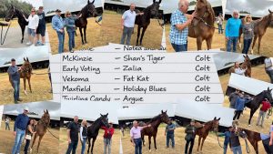 Record Crowd for Yearling Showcase in Florida