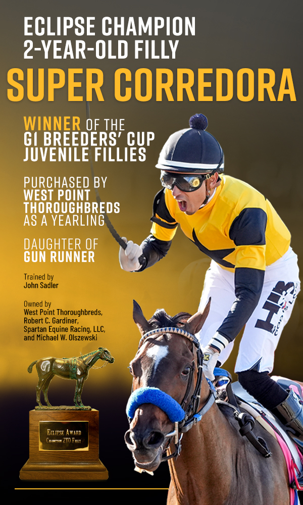 Welcome to West Point Thoroughbreds