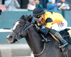 Counting Stars Tests Kentucky Oaks Trail in Martha Washington