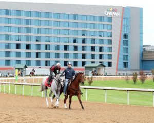 Winter 2026 at Oaklawn Park: West Point’s Partner Guide to the Racing Festival of the South