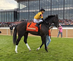 Counting Stars Rebounds on Road to the Kentucky Oaks