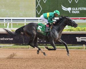 Sansone In Command by 6+ Lengths at Gulfstream