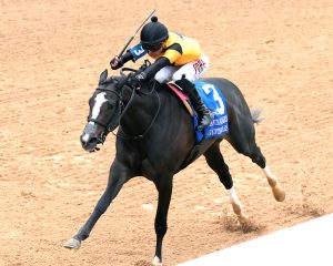 Counting Stars In Spotlight Again in Grade 1 Acorn