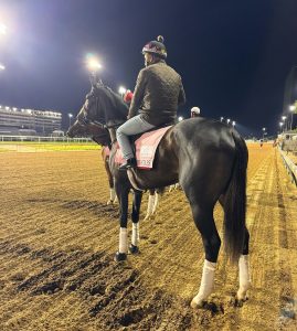 Counting Stars Poised One Week Away From Kentucky Oaks