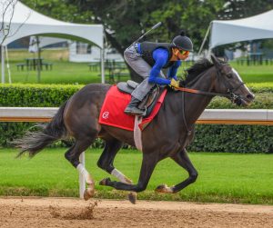 Counting Stars Zeroes In On Oaks, Exactly 1 Year After Coming Aboard at OBS