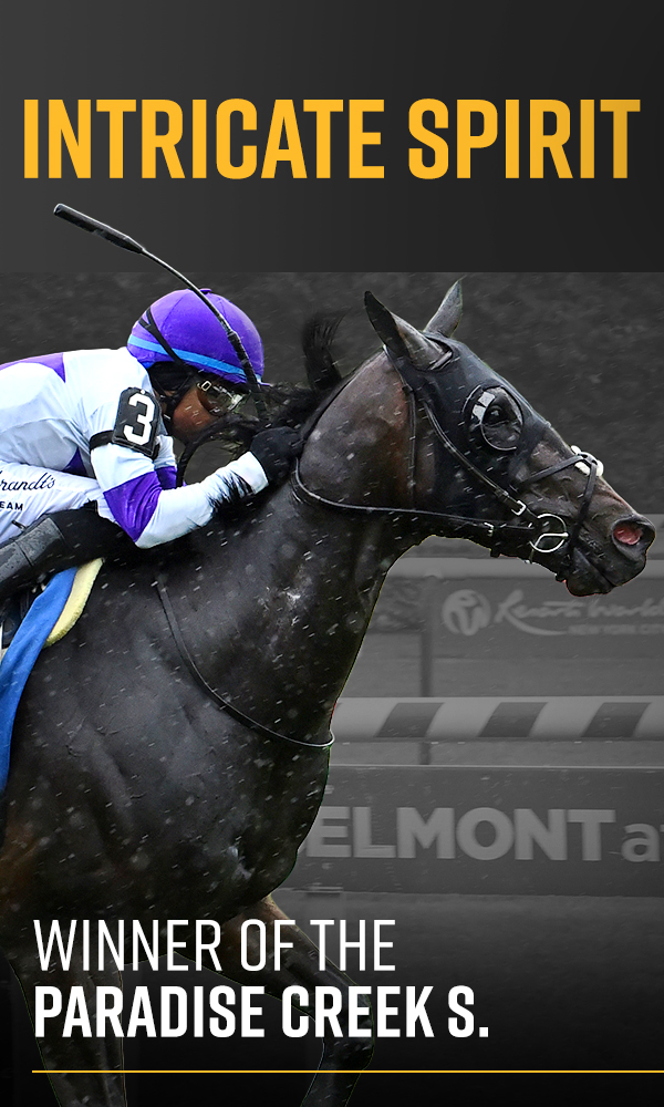 Welcome to West Point Thoroughbreds