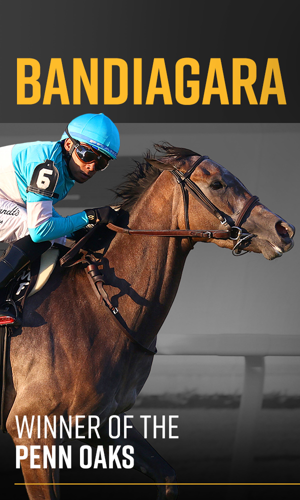 Welcome to West Point Thoroughbreds