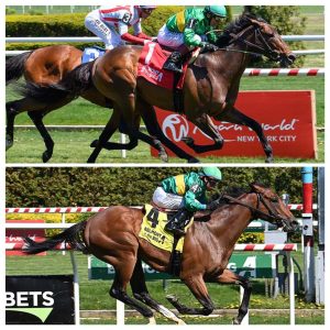 Turf Double at the Big A with Integration and Honoree