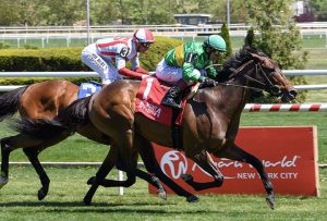 Integration Heads ‘Home’ to Colonial for Another Arlington Million
