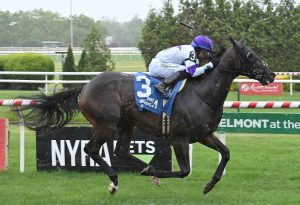 Intricate Spirit Shines in Paradise Creek Stakes
