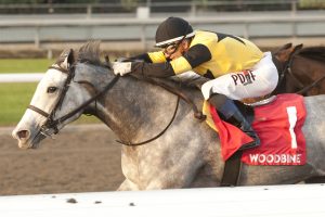 Les Reys Returns to Action in The Very One During Preakness Weekend