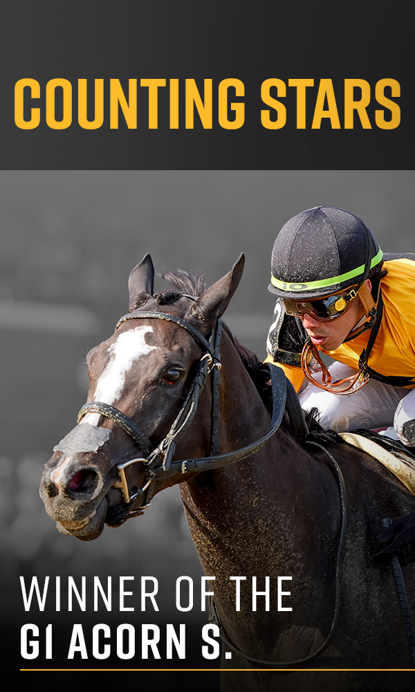 Welcome to West Point Thoroughbreds