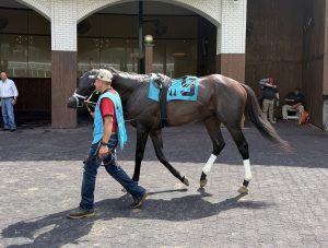 Bullard Takes On Accomplished Cast in $1-Million Charles Town Classic