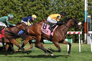 Tiz the Lady Extends WPT’s Success in New York