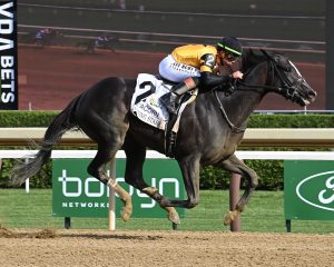 Counting Stars Soars to Grade 1 Victory in Acorn at Saratoga