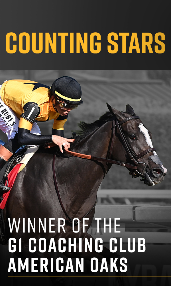 Welcome to West Point Thoroughbreds