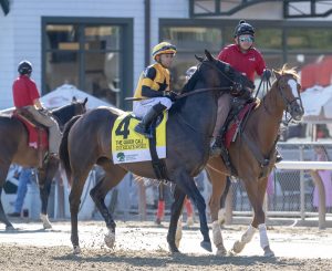 Intricate Spirit Carries Special Clement Connection Into Mahony