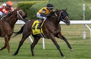 Yinzer Speeds to Victory on the Saratoga Turf