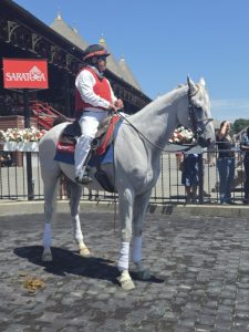 Former WPT Runner Chestertown Honored as New York’s Retired Racehorse of the Year