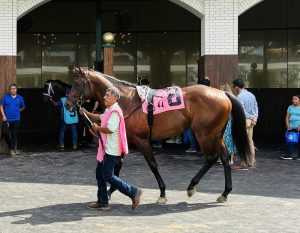 Find No Fault Finds the Winner’s Circle at Ellis Park