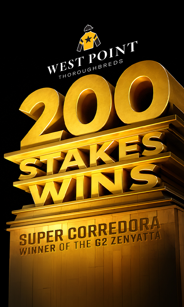 Welcome to West Point Thoroughbreds