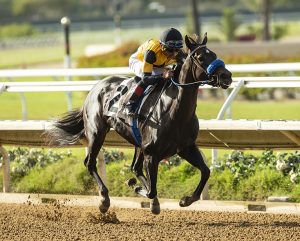 Christel Clean Continues Del Mar Love Affair