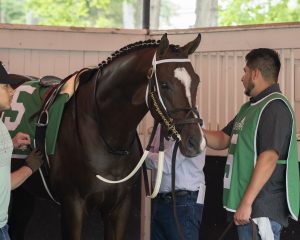 Yinzer Wins Again, Strong on the Lead at Churchill