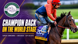 Super Corredora Eyes More Breeders’ Cup Glory