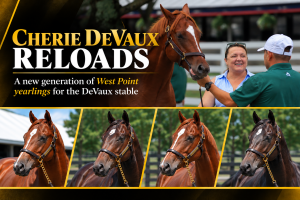 Derby Winner DeVaux Reloads With New Wave of WPT Yearlings