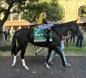 Counting Stars Shines in Championship-Caliber Campaign