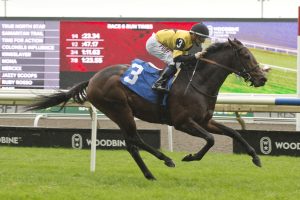 2yo True North Star Storms to 5-Length Win